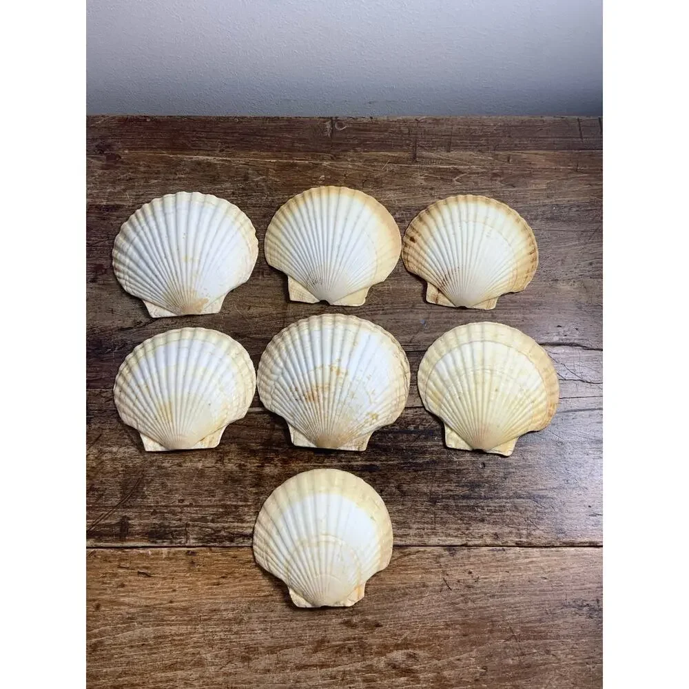 Mid Century Natural Shell Appetizer Plates set of 7